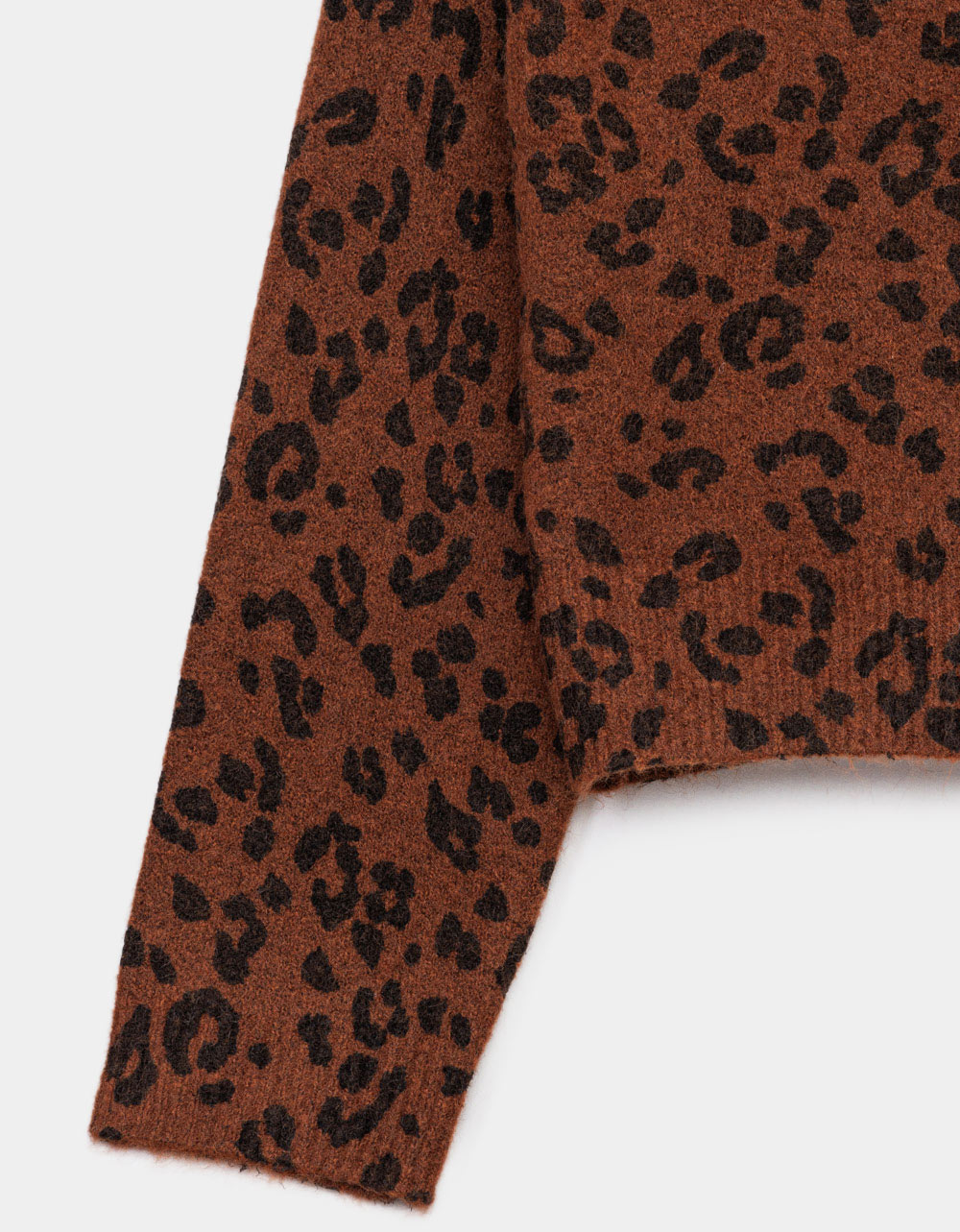 Leo Medina Cardi
