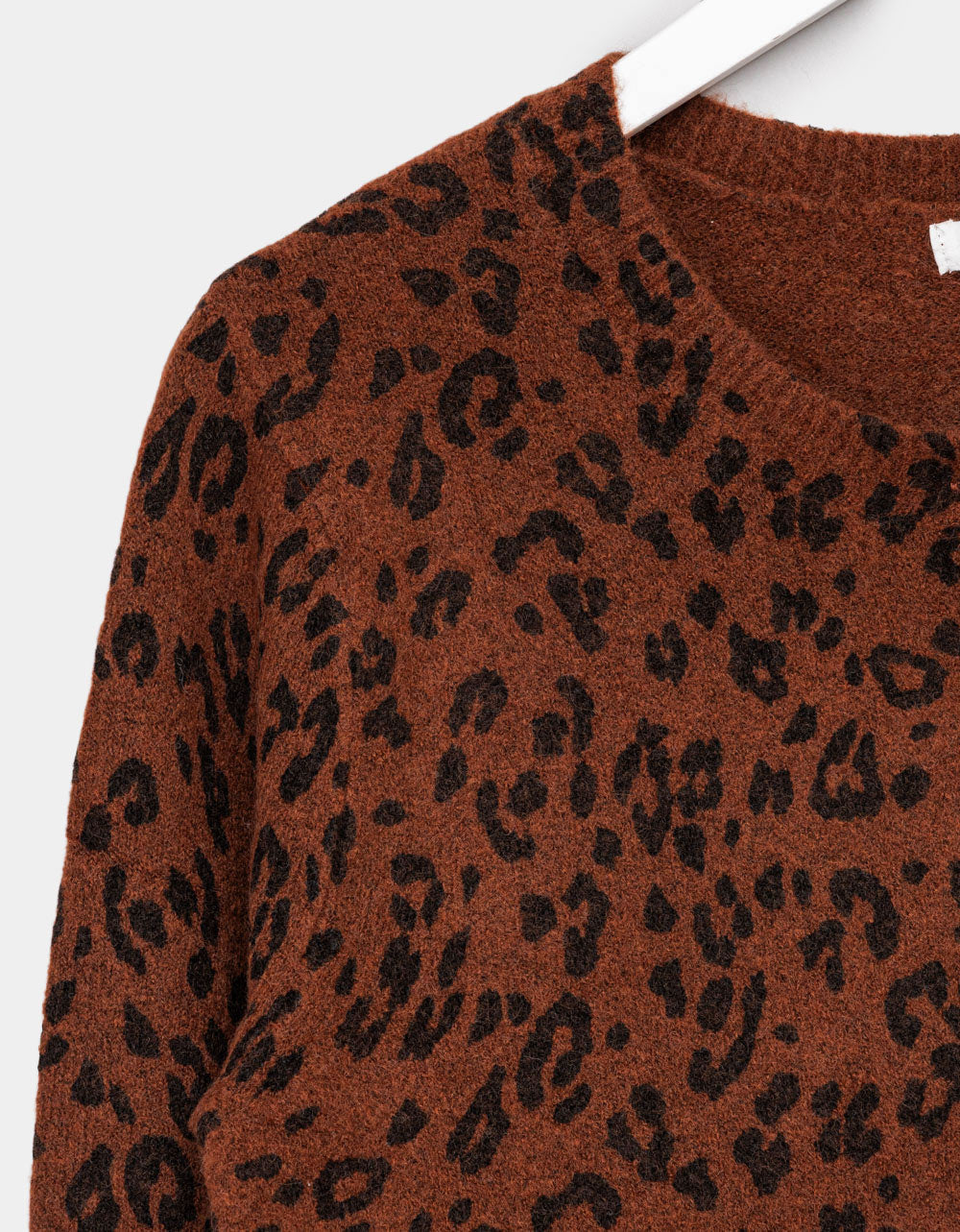 Leo Medina Cardi