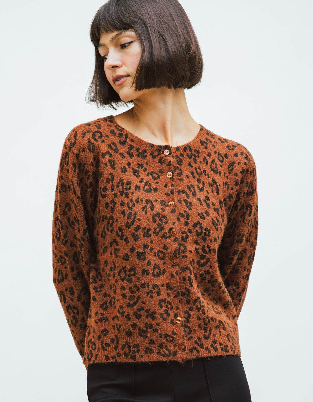 Leo Medina Cardi