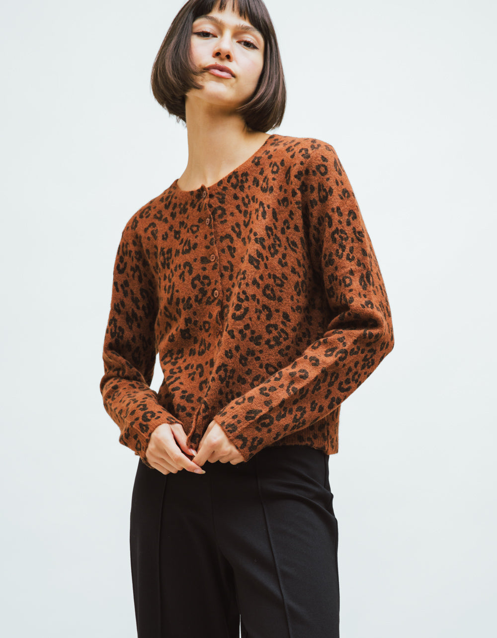Leo Medina Cardi
