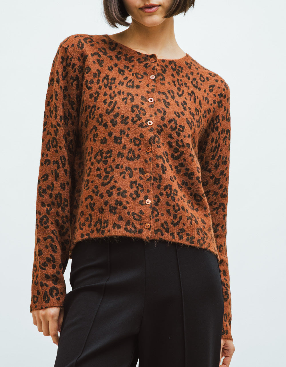 Leo Medina Cardi