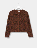 Leo Medina Cardi