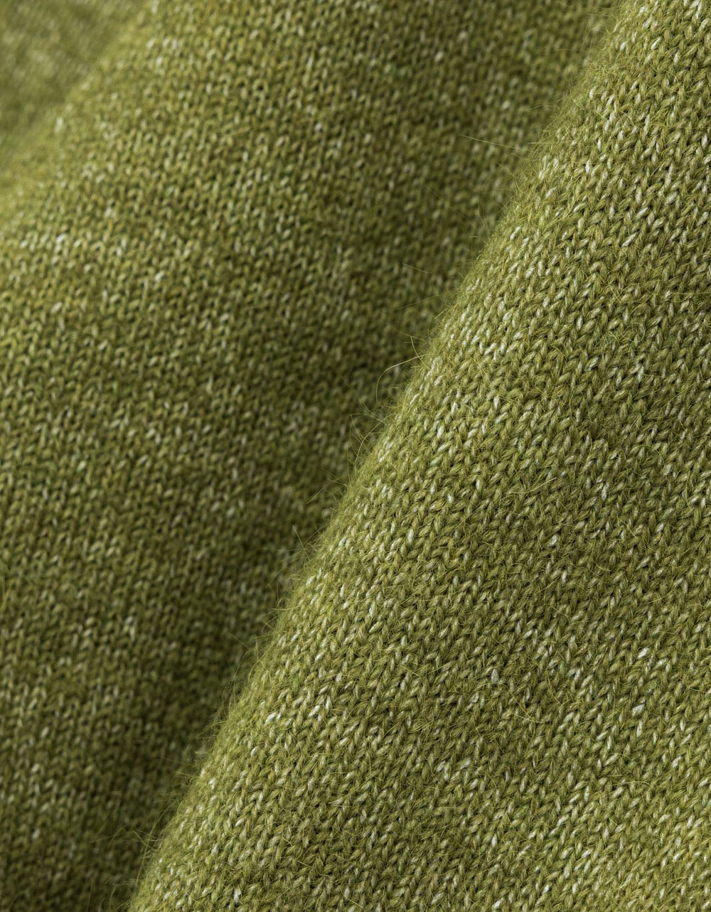 Moss Elaine Cardi