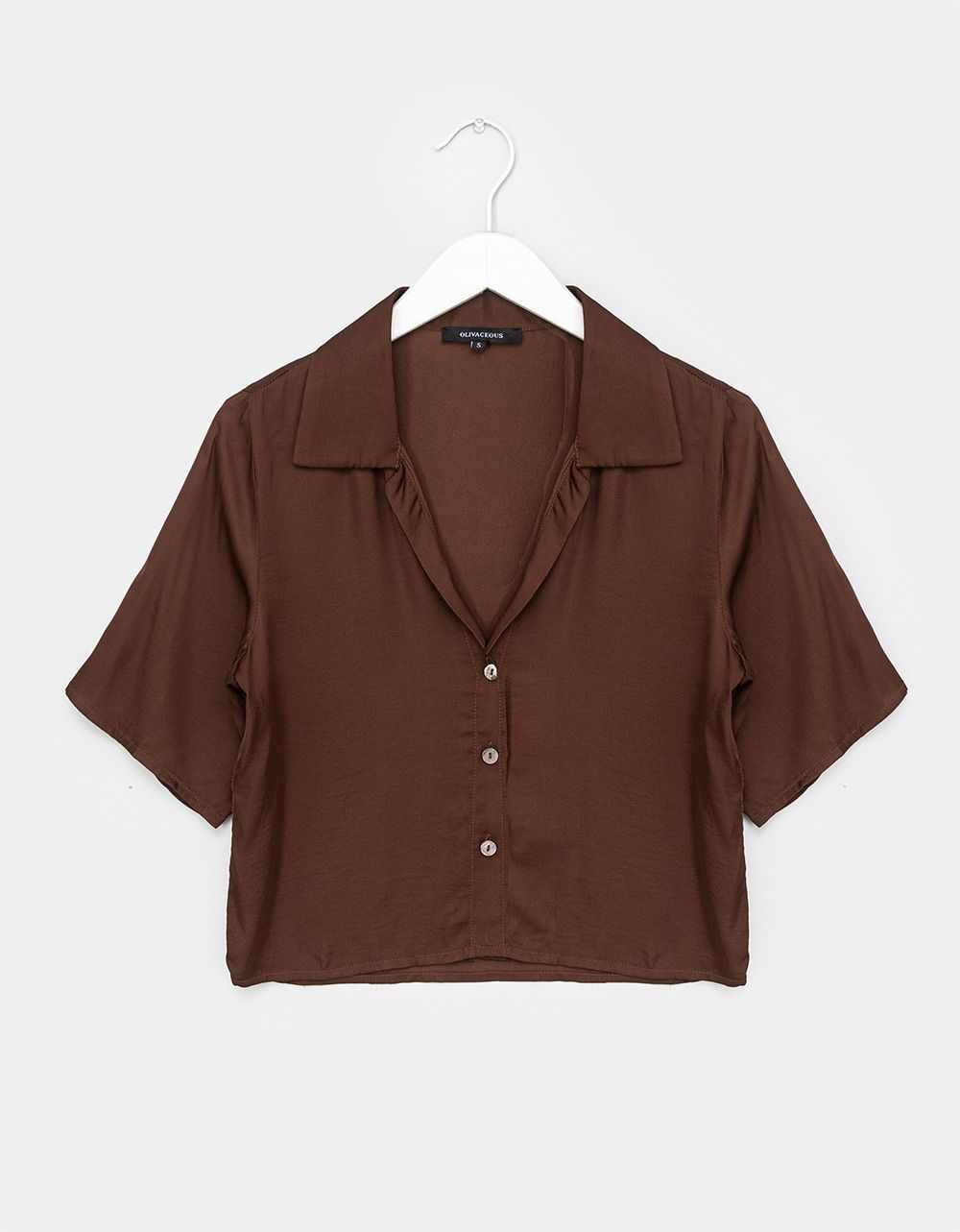 Alanso Button Down in Cocoa_0