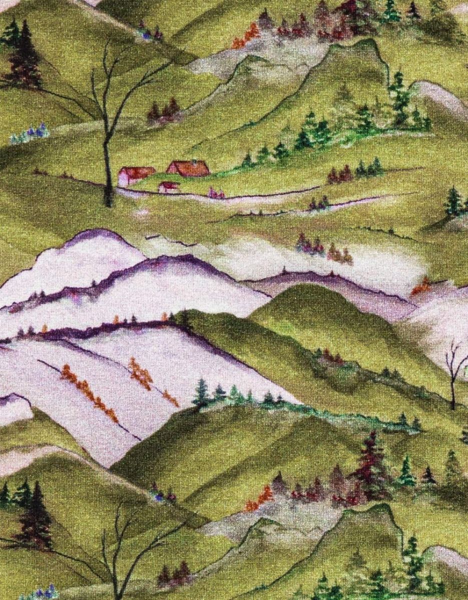 Alps Carmelite Turtle._3