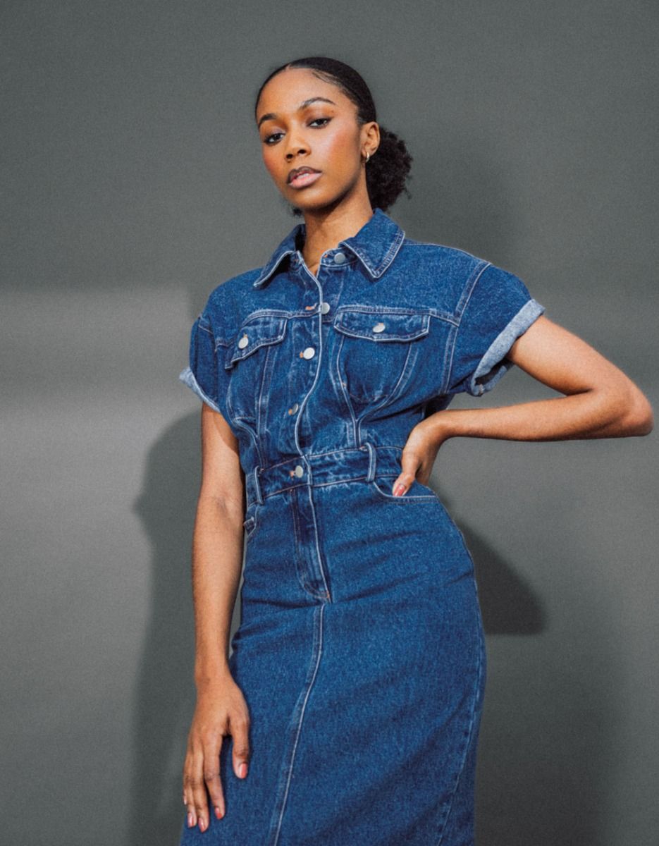 Sundry Denim Dress_2