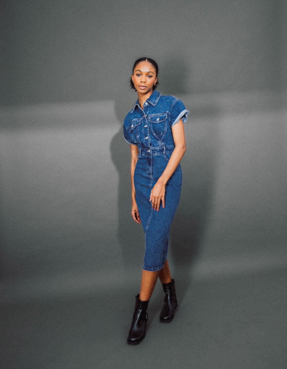 Sundry Denim Dress_1