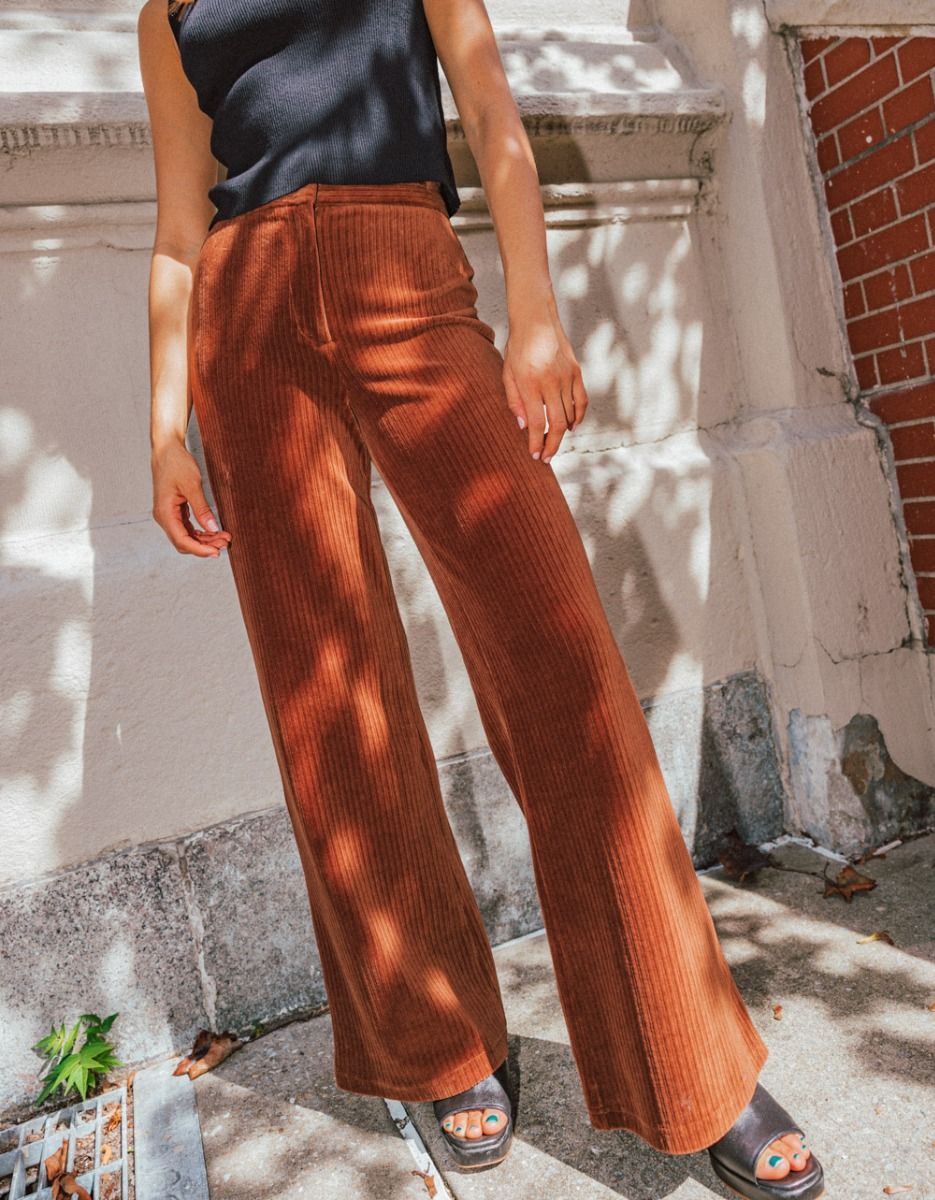 Velours Pants in Brown_2