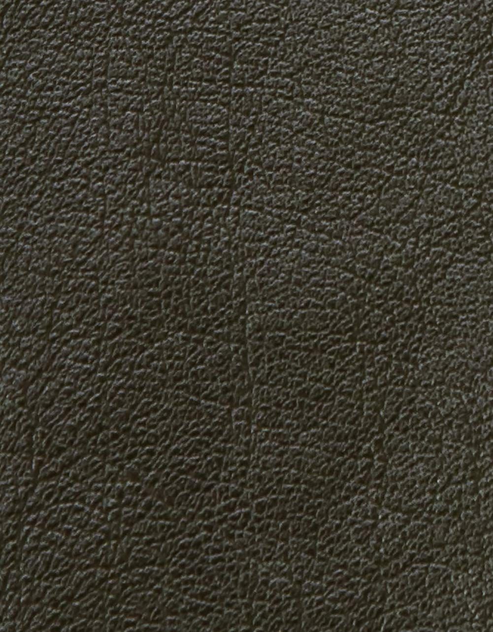 Avryl Faux Leather Mini_3