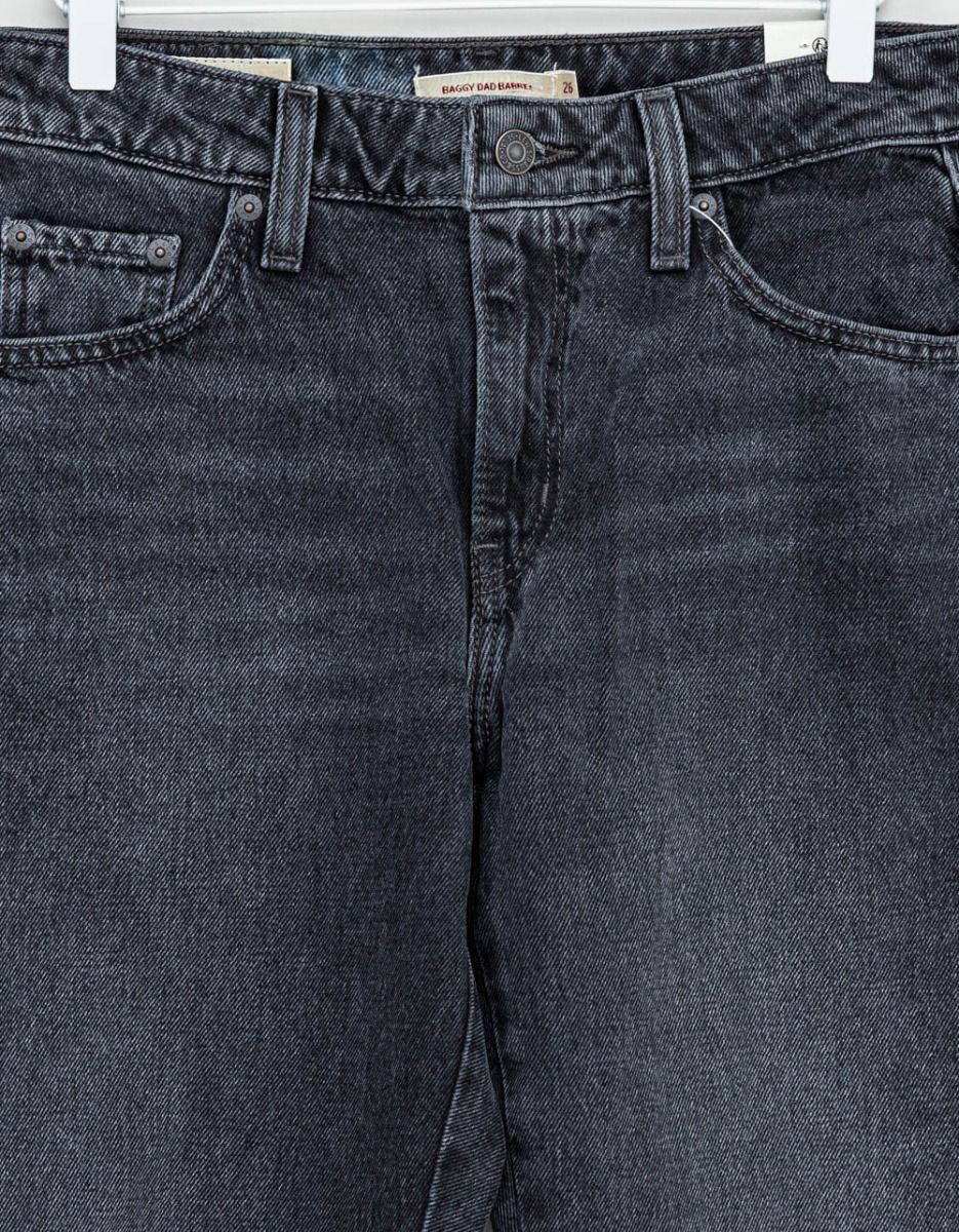 Barrel Baggy Dad in Rebel Edge_1