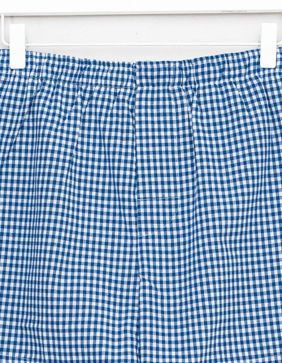 Blue Brady Check Boxer_2