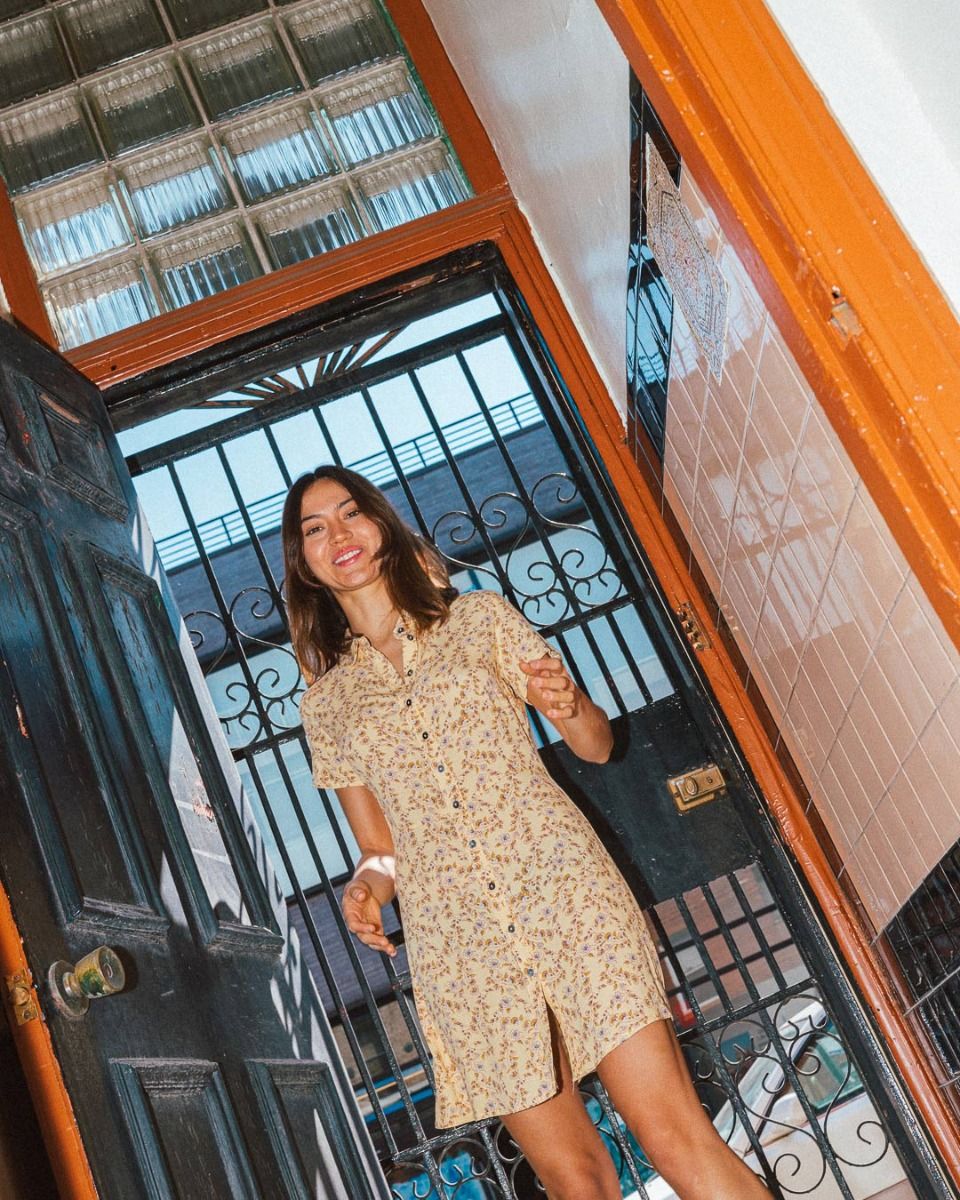 Dakota Mini Shirtdress_4