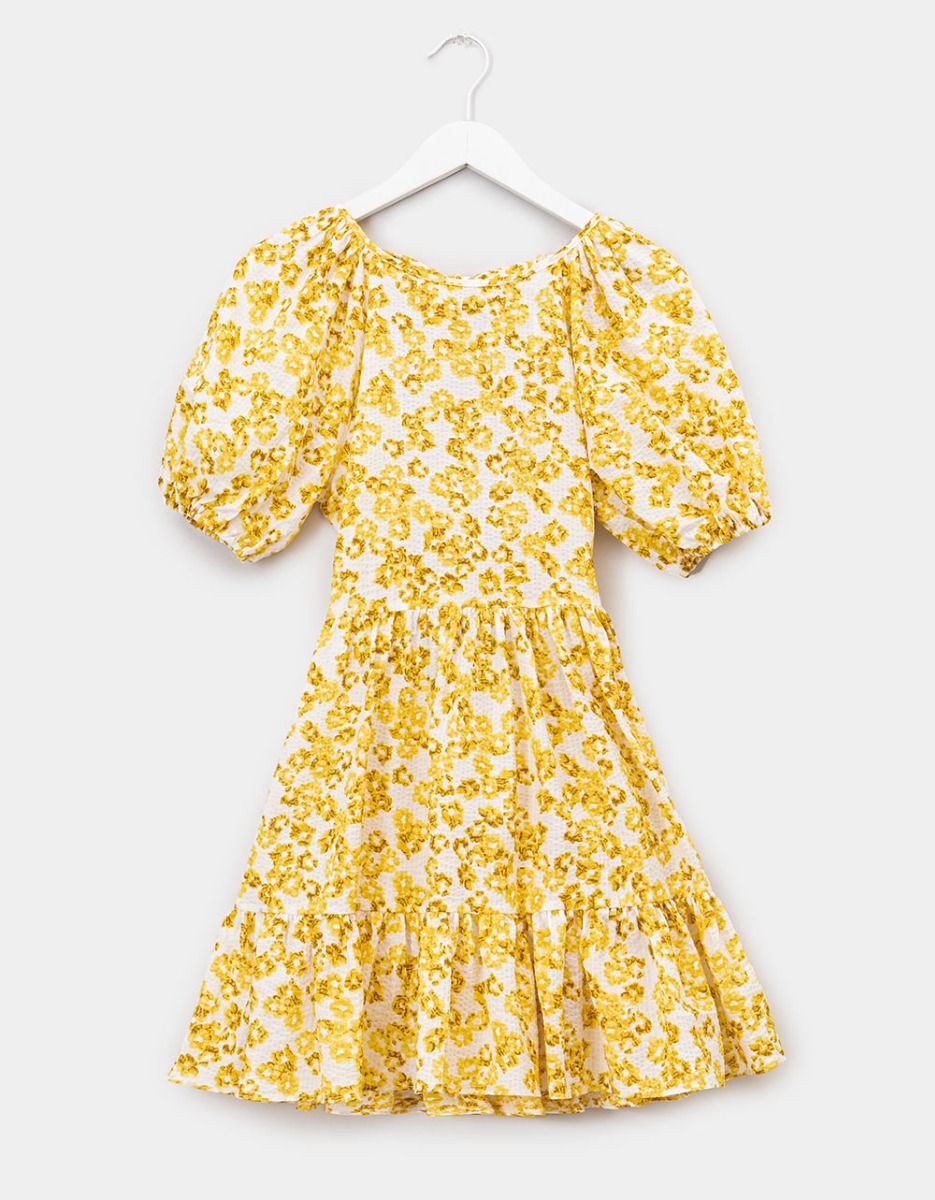 Ditsy Texture Mini Dress_0