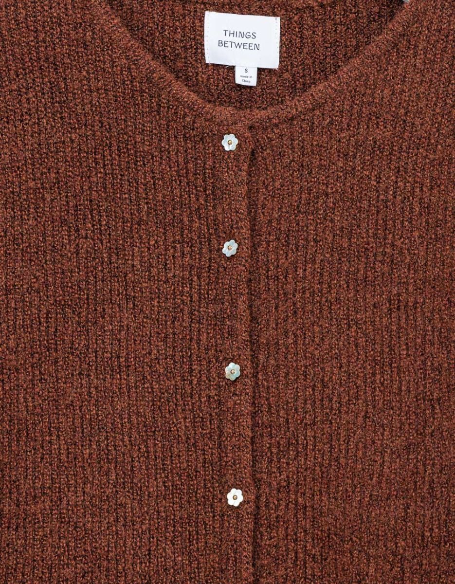 Elyana Cardi in Brown_2