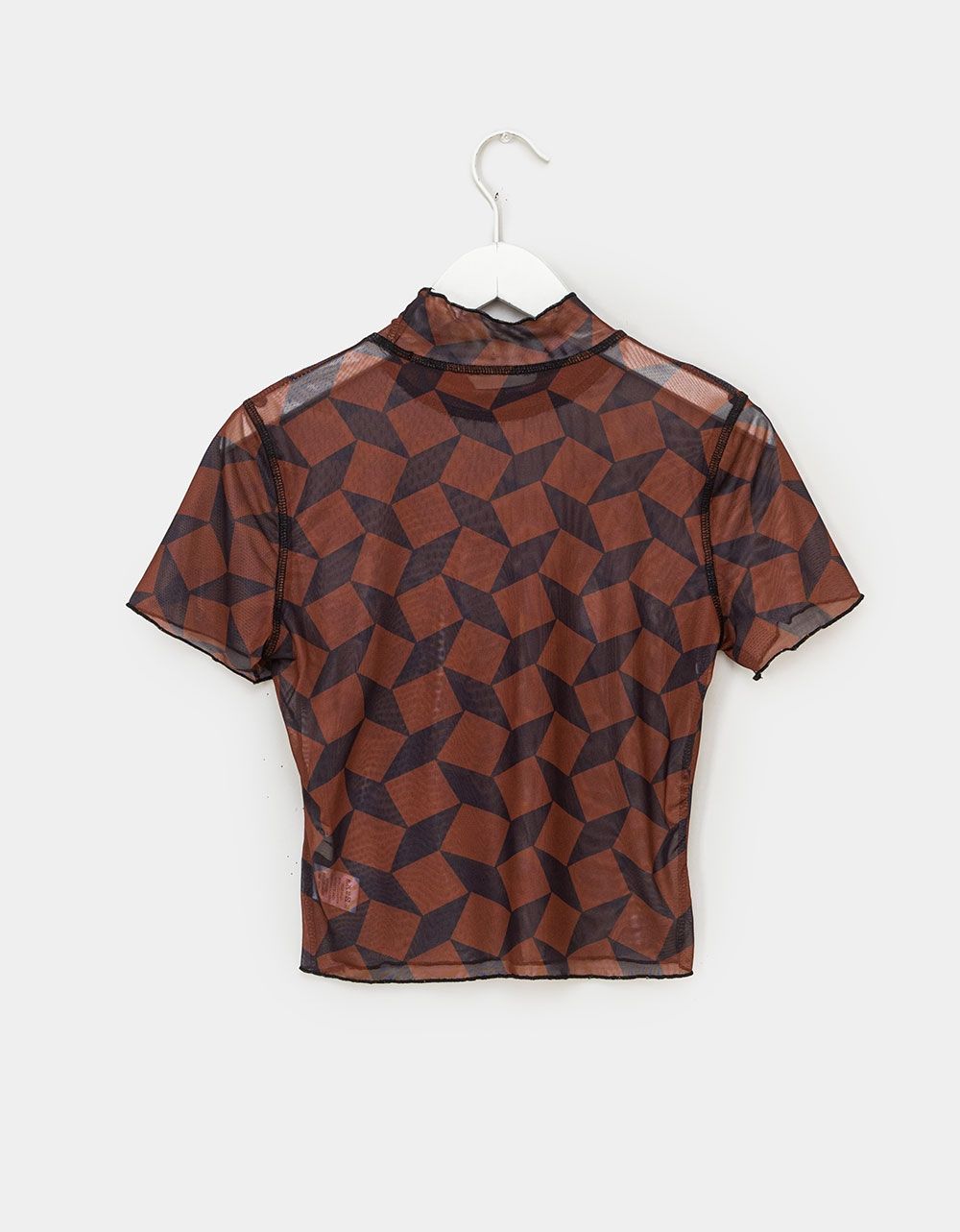 Geo Mesh Top_2