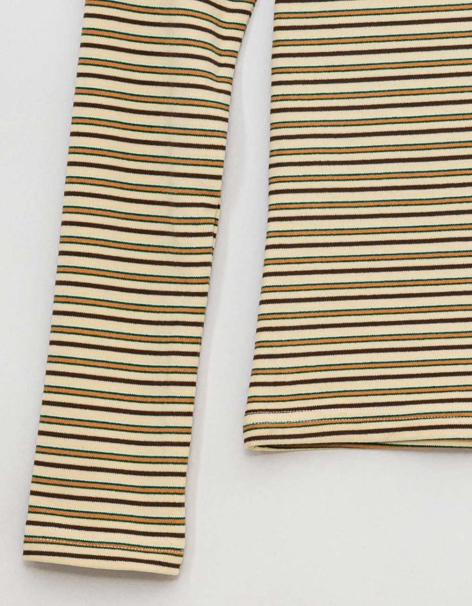 Hiver Stripe Turtle_1