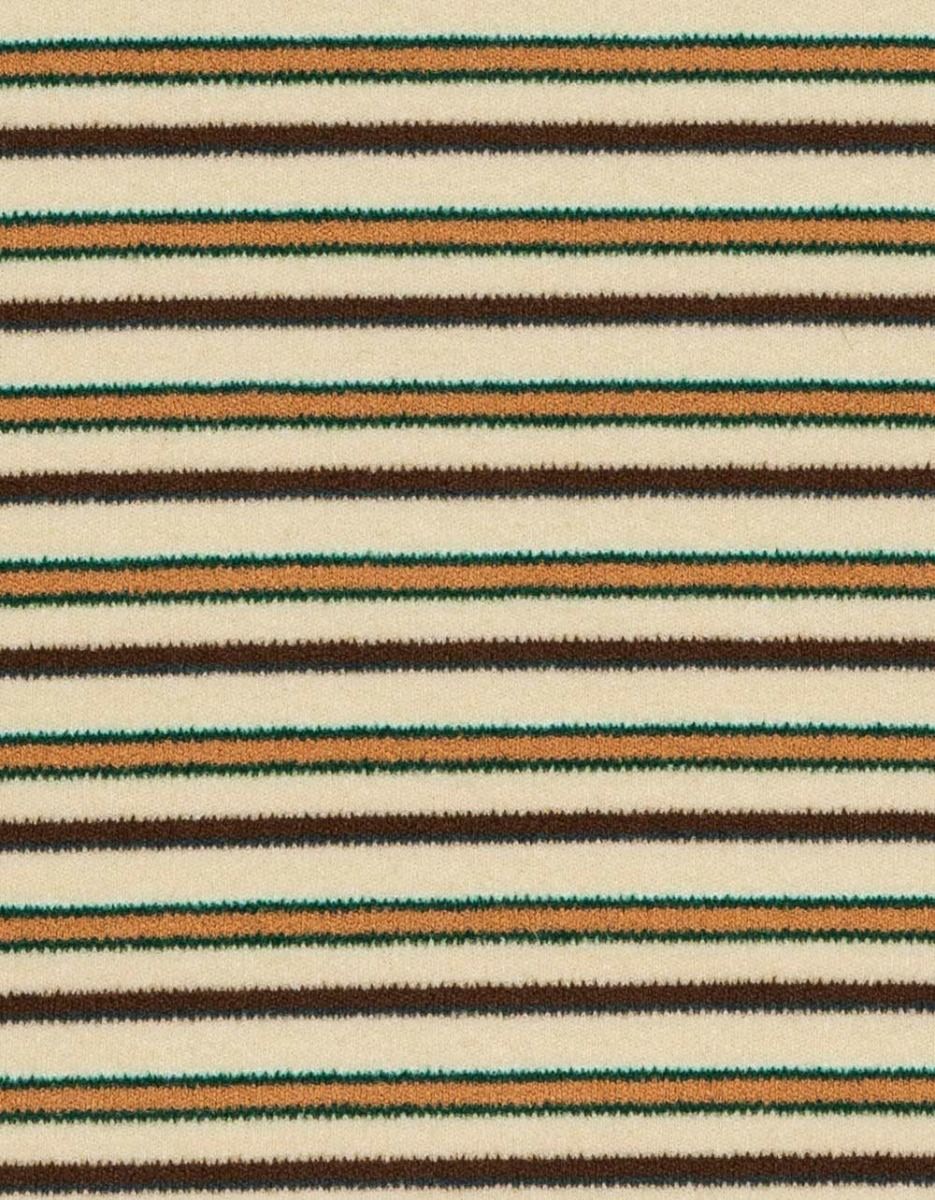 Hiver Stripe Turtle_3