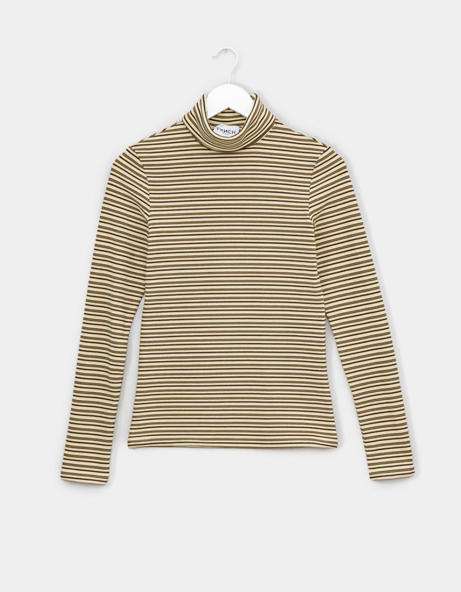 Hiver Stripe Turtle_0