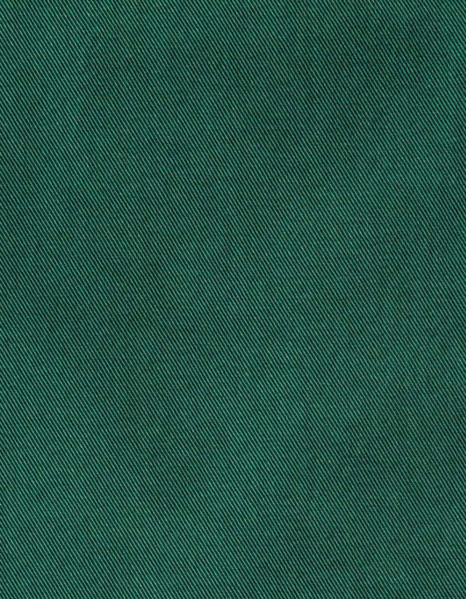 Sailor Jean in Basil_6