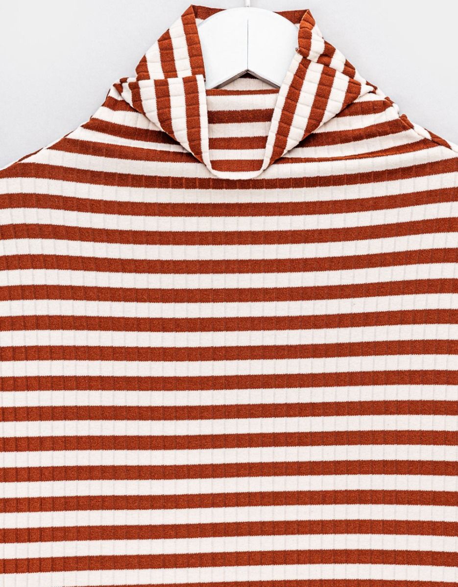 Stripe Marron Turtle_4