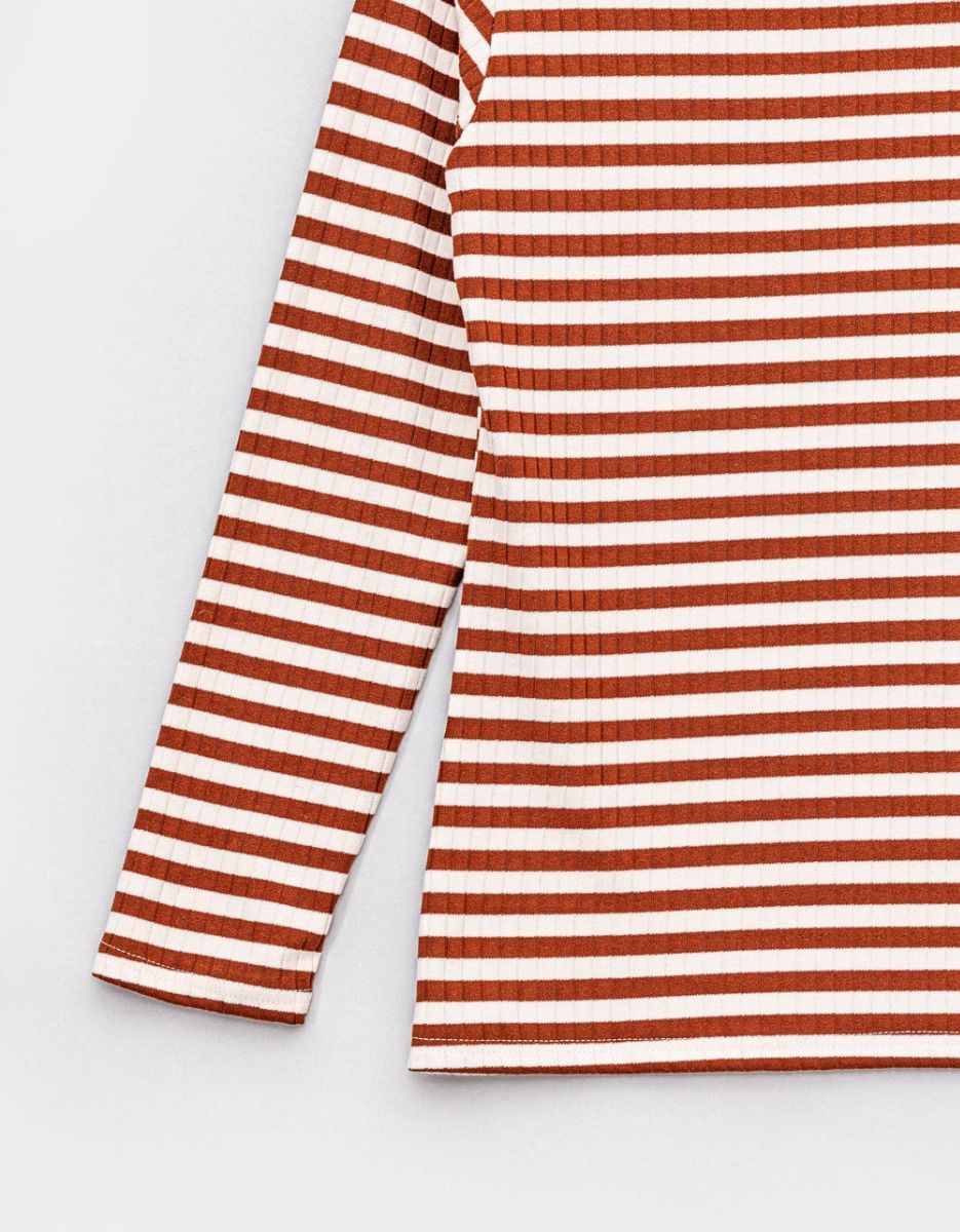 Stripe Marron Turtle_5