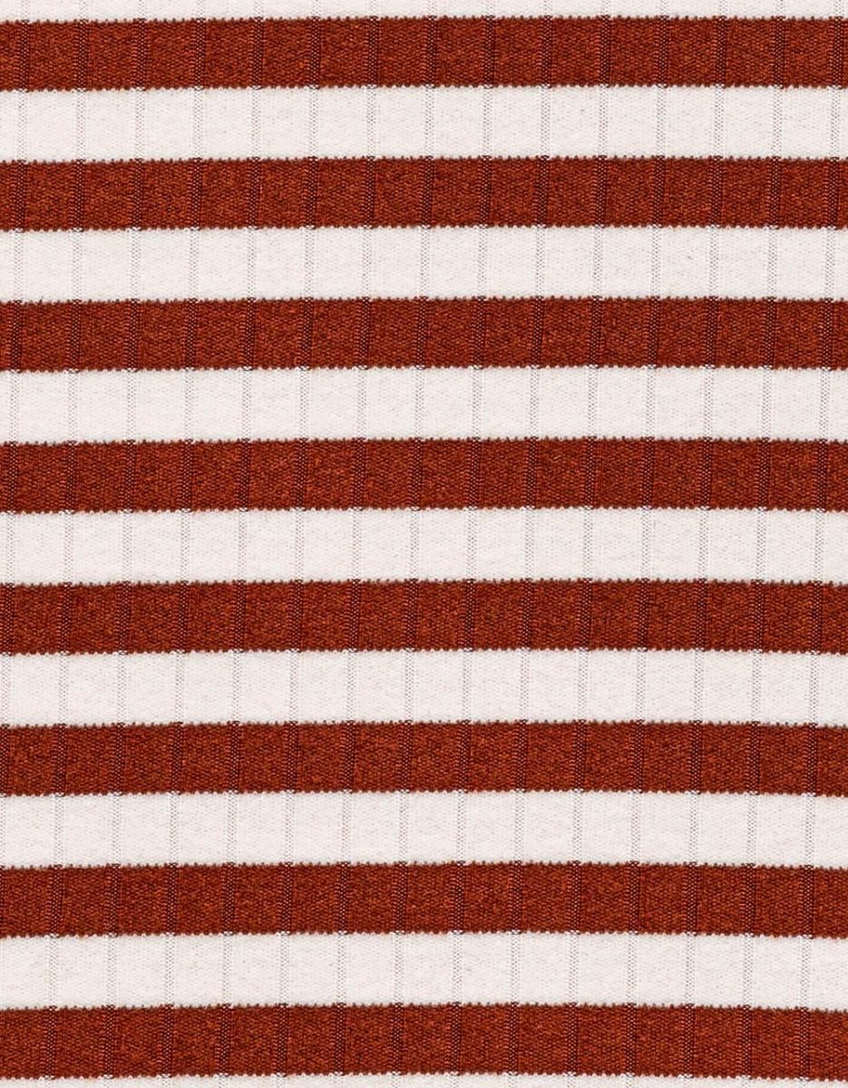 Stripe Marron Turtle_6