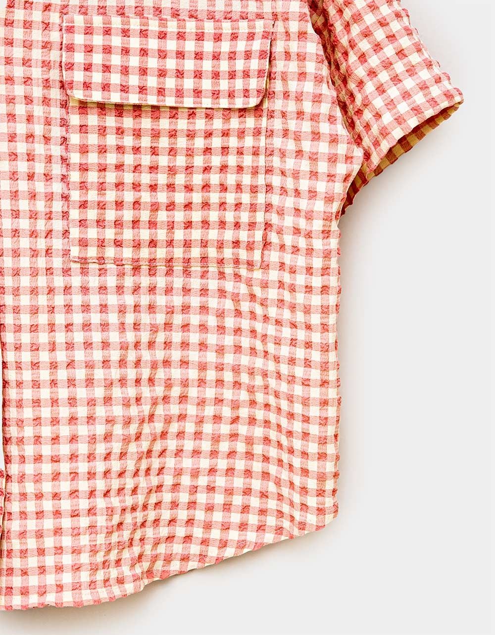 Vichy Button Down_3
