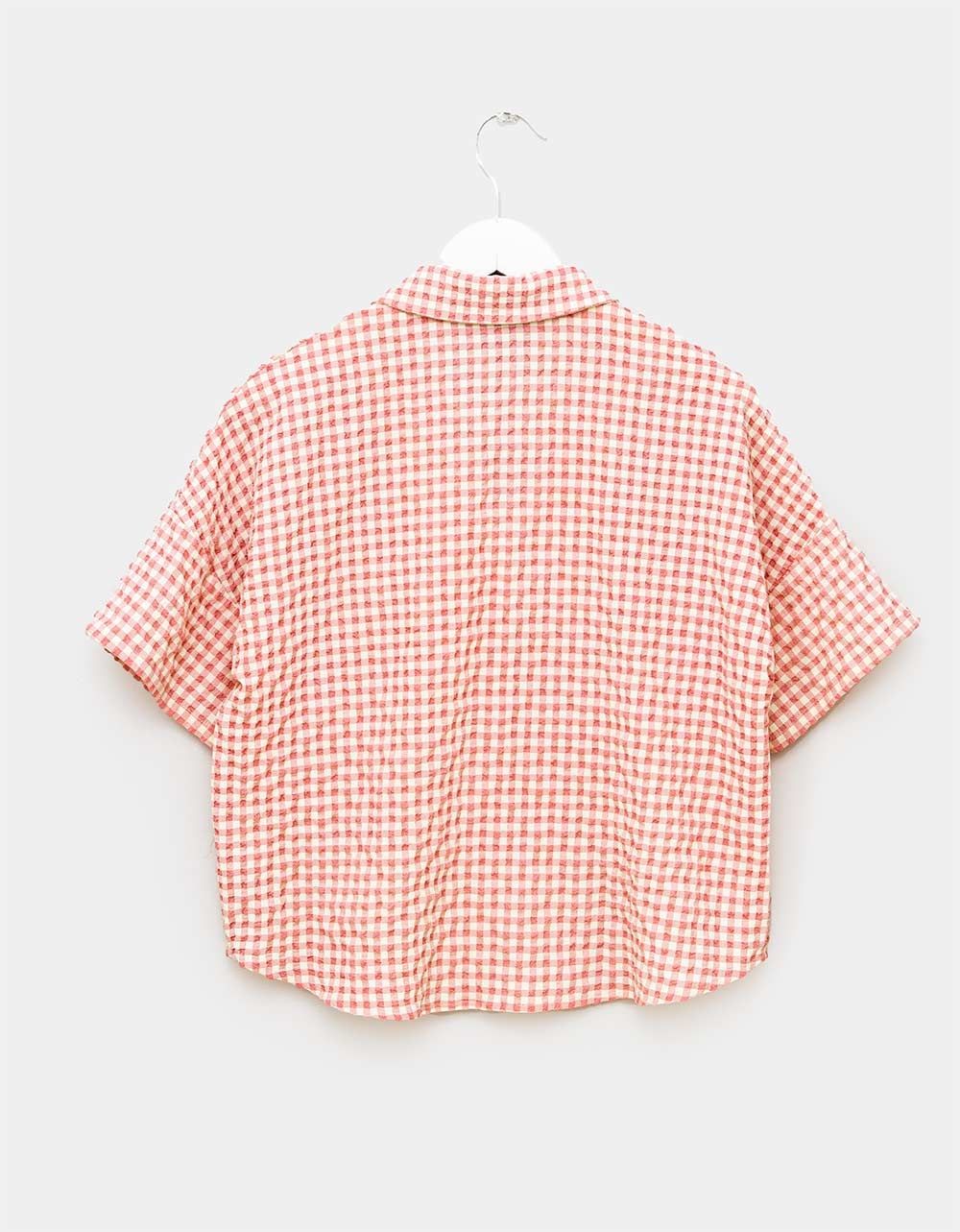 Vichy Button Down_4