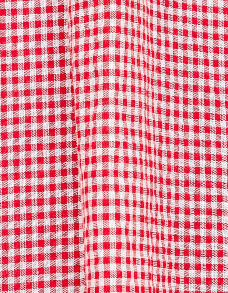 Whitney Check Dress_4