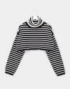 Abbi Stripe Turtle Sweater in Black_prev_1