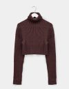 Alora Turtleneck in Brown_prev_1