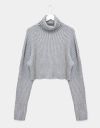 Alora Turtleneck in Grey_prev_1