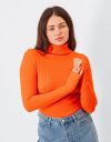 Lavinia Turtleneck in Orange_prev_3