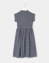 Draper Gingham Dress_prev_4