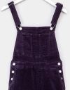 Original Overall in Blueberry_prev_2