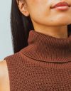 Pia Knit Turtleneck in Brown_prev_5