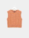 Sunny Sweater Vest_prev_1