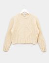 Swell Cable Sweater_prev_1