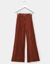 Velours Pants in Brown_prev_1